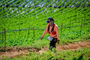 BIB: 1521, 
                            <button type="button" onclick="openModal(19164420)" class="btn btn-primary btn-sm float-right btn-popup" data-toggle="modal" data-target=".modal-high-quality">
                        <i class="fas fa-shopping-cart"></i> Add to Cart
                    </button>
                                            <button type="button" onclick="isThisMe(19164420, true)" class="btn btn-success btn-sm float-right btn-popup btn-isme hidden" data-toggle="tooltip" data-placement="bottom" title="นี่คือรูปของคุณใช่ไหม คลิกที่นี่เพื่อเอาเข้าอัลบั้ม">
                        <i class="fas fa-plus"></i> Add to album
                    </button>
                    <button type="button" onclick="isThisMe(19164420, false)" class="btn btn-warning btn-sm float-right btn-popup btn-isnotme hidden">
                        <i class="fas fa-ban"></i> Remove from album
                    </button>